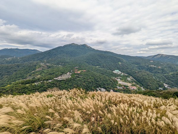 紗帽山步道探訪歷史遺跡、賞芒花1510074