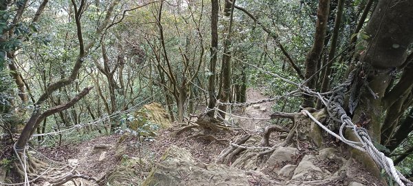 2024/05/10-仙山登山步道2502672