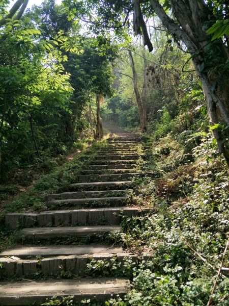 2018 04 18 咬人狗坑登山步道(三汀山)314147