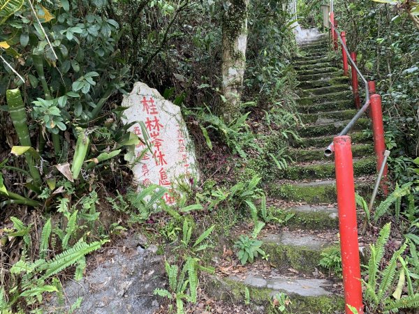 抹茶山（三角崙山）（宜蘭縣礁溪鄉）2517977