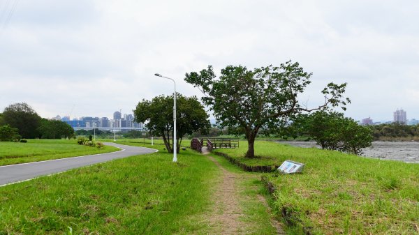 華江自然公園,華中河濱公園2651919