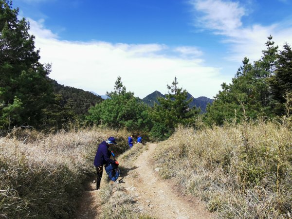 一日大霸群峰之高山杜鵑看好看滿 ( 大霸尖山、小霸尖山、伊澤山、加利山 )- 2021/5/21374760