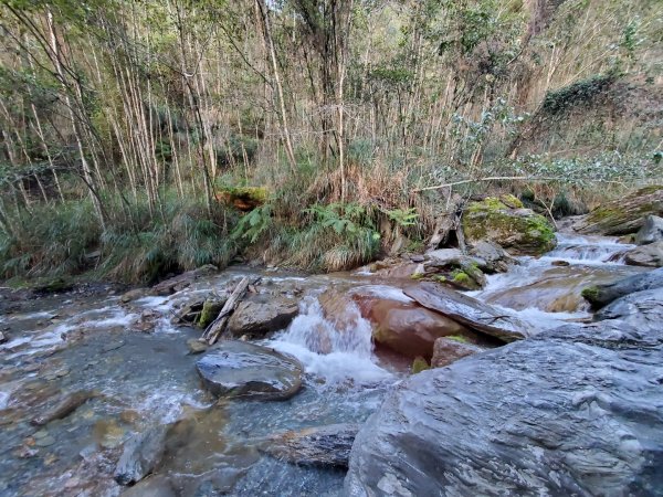 中橫大辣－屏風山1507801