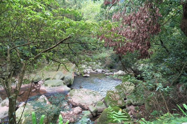 2016.4.5坪頂古圳－中社路健走46561