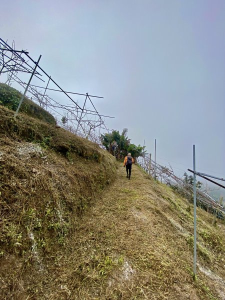 東勢基石巡禮(麻竹坑山.石角山.酒保坪山.大南坑山.主峰)  2022/12/301976267