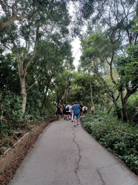 【台中北屯】台中大坑九號步道2933027