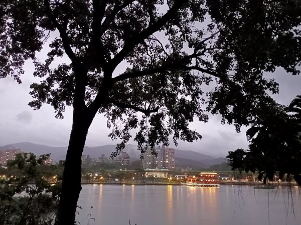 大湖公園《雨中夜行》1904687