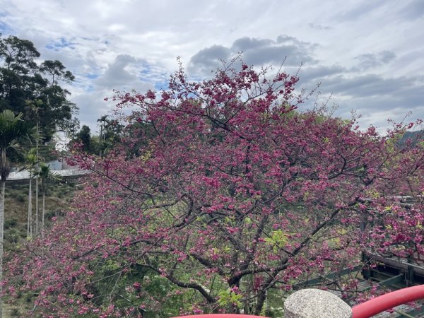 2026台北大縱走3013913