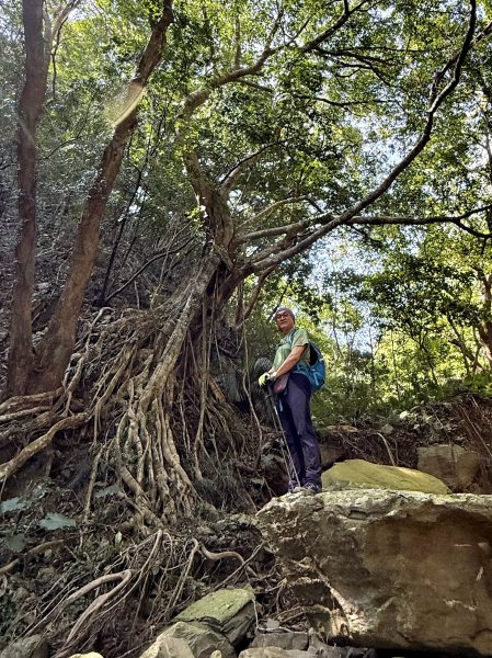 女仍山+帽子山O繞 202602273009558