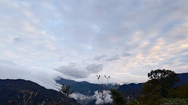 屯野生台山、石麻達山2993149