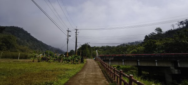 獅潭觀魚步道+潭老街-2026/03/293026421