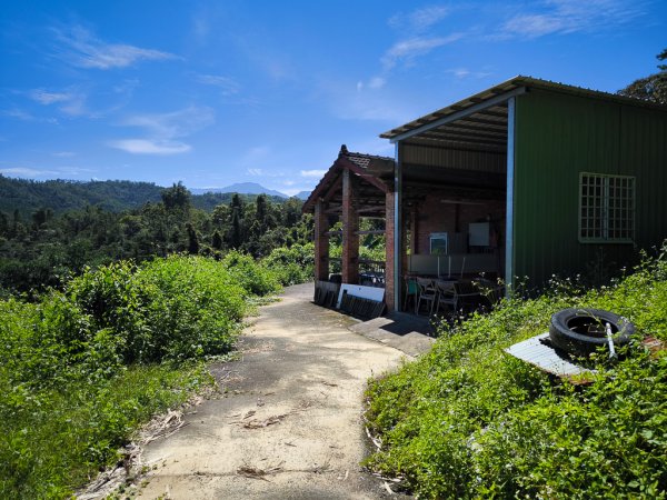 2024-08-22 澀水森林步道2578461