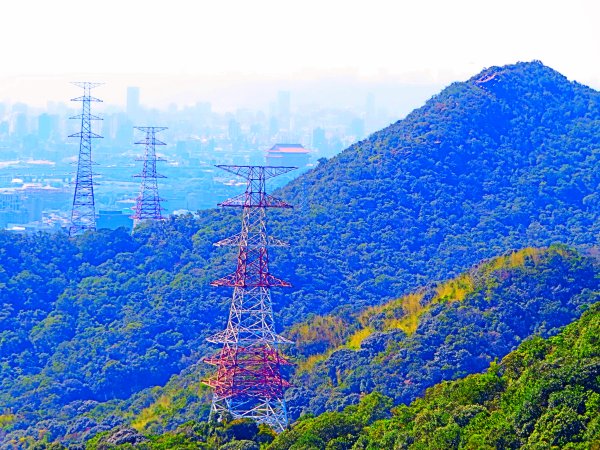 龍年首登的好選擇，鯉躍龍門，搭捷運來內湖爬三尖，鯉魚山、忠勇山、圓覺尖2426587