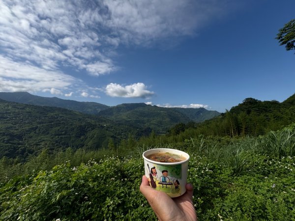 戲水（鴛鴦2786657