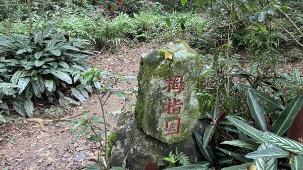 出發了!淡蘭古路南路第一段-糶米古道|Tamsui-Kavalan |茶道|峯花雪月2519076