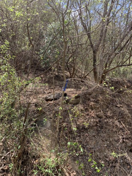 20250503屏東南和山2781485