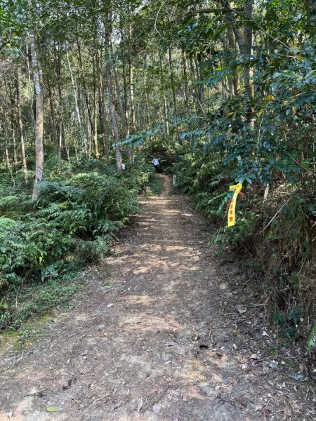 埔里能高瀑布-慶安步道-福興山1122峰（建議逆時針O繞）3004494