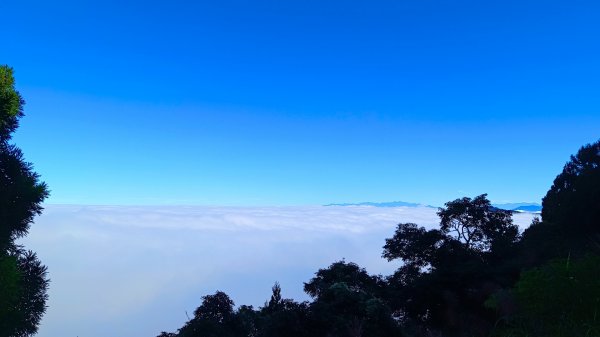 溪頭~金柑樹山/嶺頭山/忘憂森林O形走（沿路竟是耶穌光）1884168