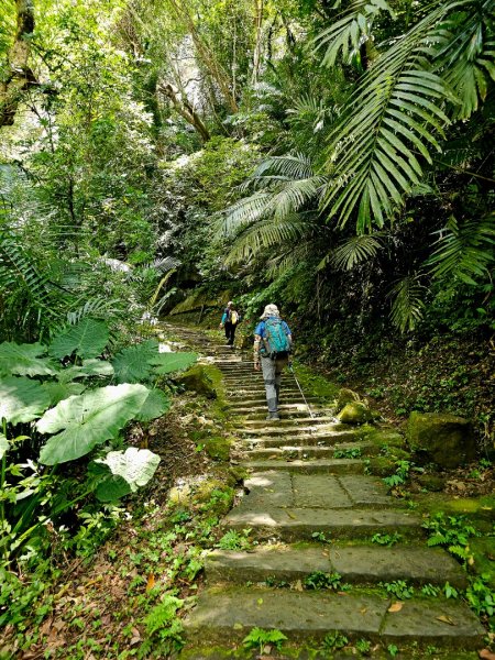 獅山古道 - 2024森遊竹縣皮皮獅Hike客任務2556077