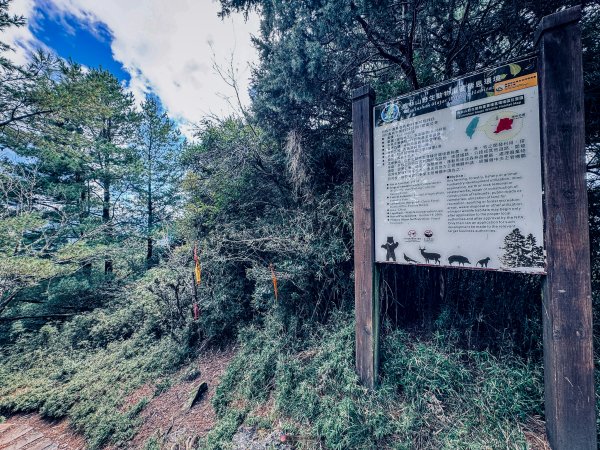 塔塔加五峰2761062