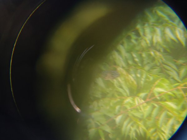 塘湖古道塘湖山甕缸潭2454265