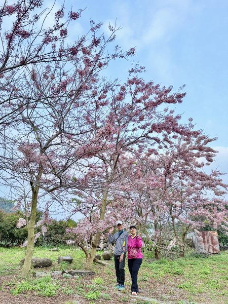 楠西悠遊(鹿陶洋.爐芝潭山)  2026.3.263027450