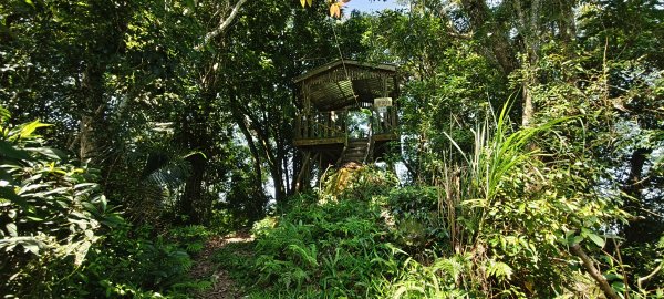 2025/08/09_赤柯山+東獅頭山步道2856306