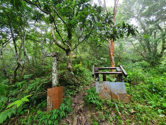 【豐濱-阿美族聖山】八里灣山朝聖去~897827