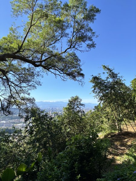 天母古道 + 紗帽山2913894