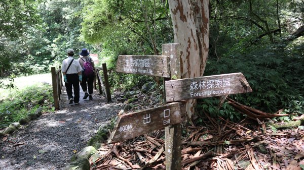 福山植物園登山健行趣(步道)2269394