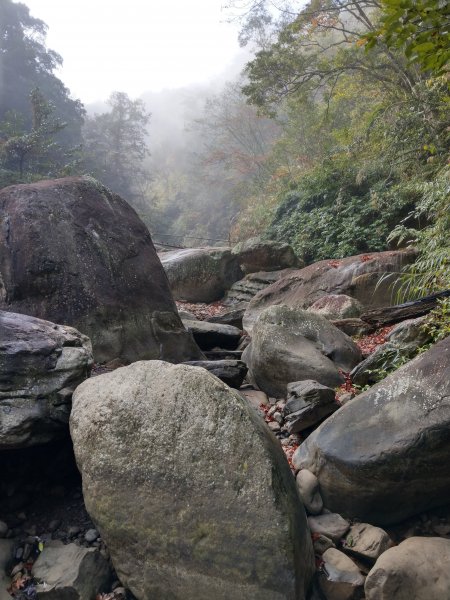 台版富士山「加里山」(小百岳#34) 2020/12/191424792