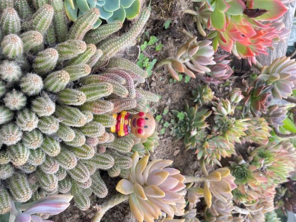 川藏深度之旅33天/A行程2901250