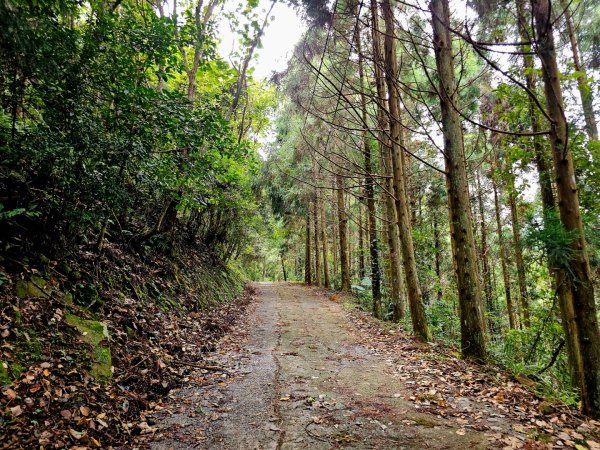 白蘭溪古道-2025森遊竹縣皮皮獅探險隊2895450