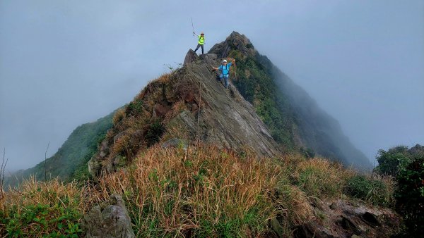 鋸齒稜直下半平大峭壁，讓人腎上腺素飆升的路線1915814