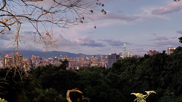 土城牛埔頭山，大安圳賞蝶步道，中和國旗嶺，鄧公嶺，長壽山，白馬寺，羊稠森林步道1811021