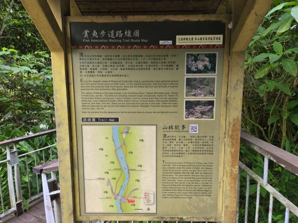 四十二份坪步道3127331
