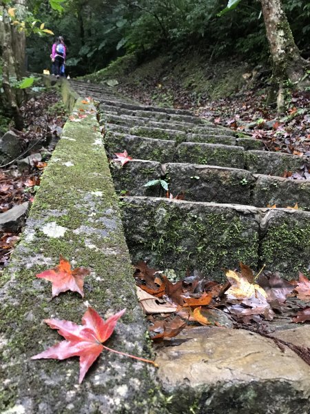 109年12月12日 新北 滿月圓森林遊樂區1365673