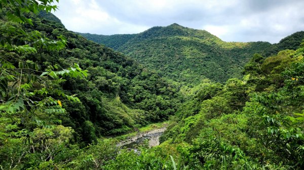 塔曼山，拔刀爾山，美鹿山南峰，內洞林道，大刀山，啦卡登山步道，桃園枕頭山，阿姆坪生態公園，大溪坪古道1795617