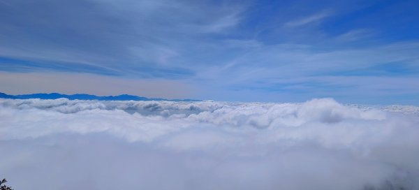 鳶嘴山美呆了~滿滿的雲海~1884270