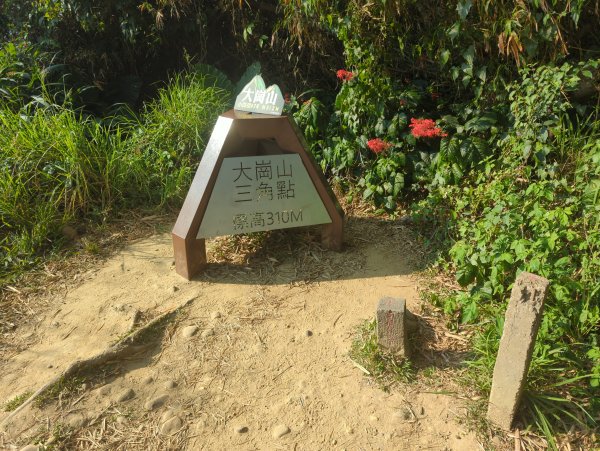 2025.03.24－大崗山2746339