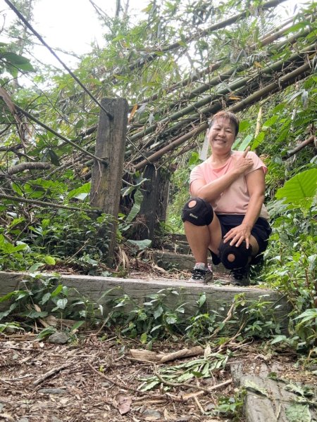 後棟仔山、挑筍古道、大尖山2920271