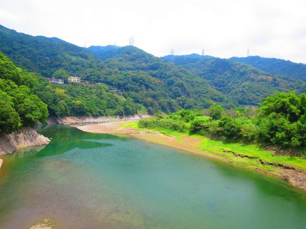 2018涼一夏步道：坪林金瓜寮溪觀魚蕨類步道334439