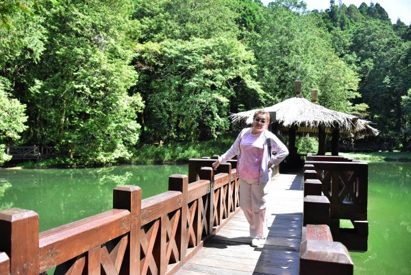 20251011追公車搭公車阿里山漫遊2910903