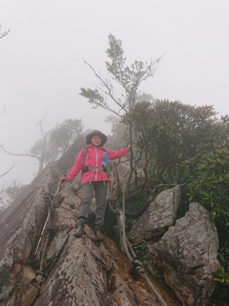 橫嶺山、鳶嘴山O 走1660940