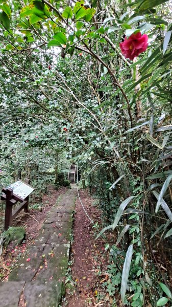 台北大縱走第一段1249205