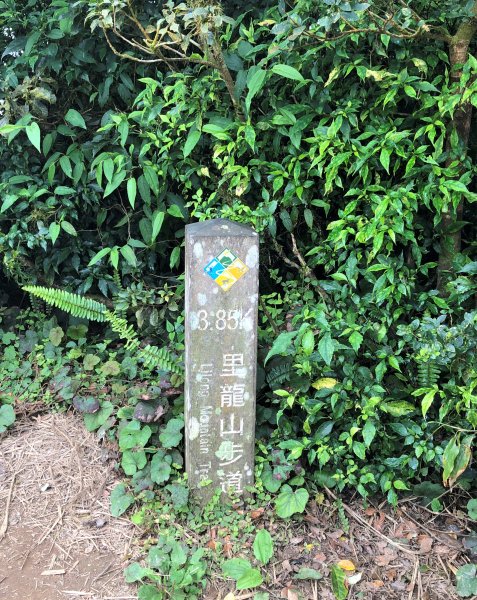 台灣小百岳No.080 里龍山908215