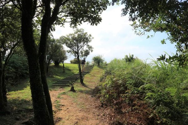 小百岳NO12  汐止大尖山 縱走海拔641公尺 四分子尾山2229068