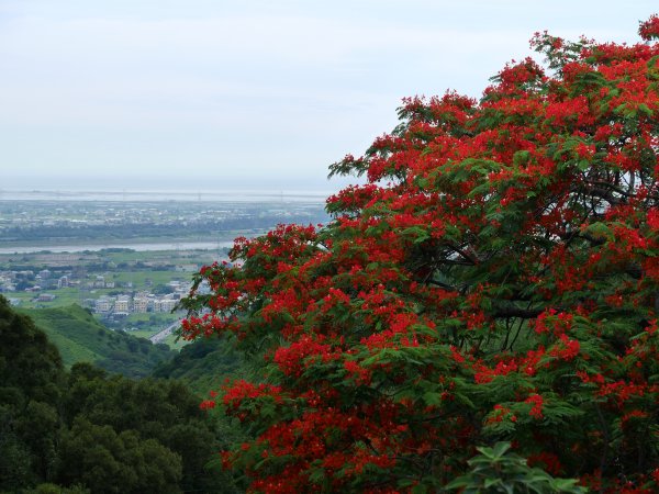 竹坑南寮步道985835