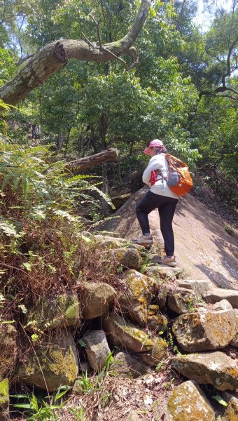 (姨婆趴趴走)第五十四集:攀登台北內湖剪刀石山、金面山2775887