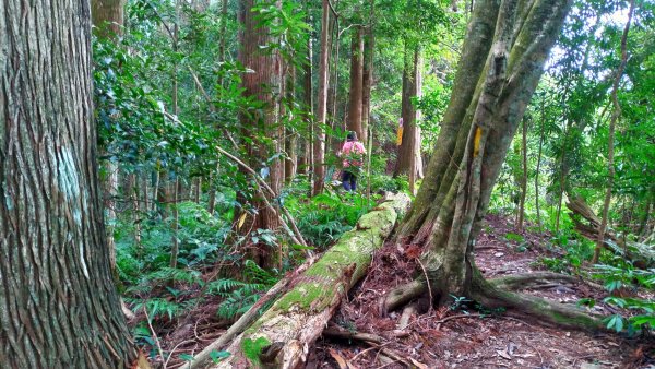 向天湖山O型三角湖山2019/10/20709124